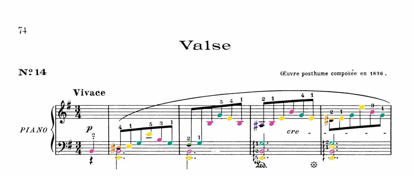 Chopin Collection