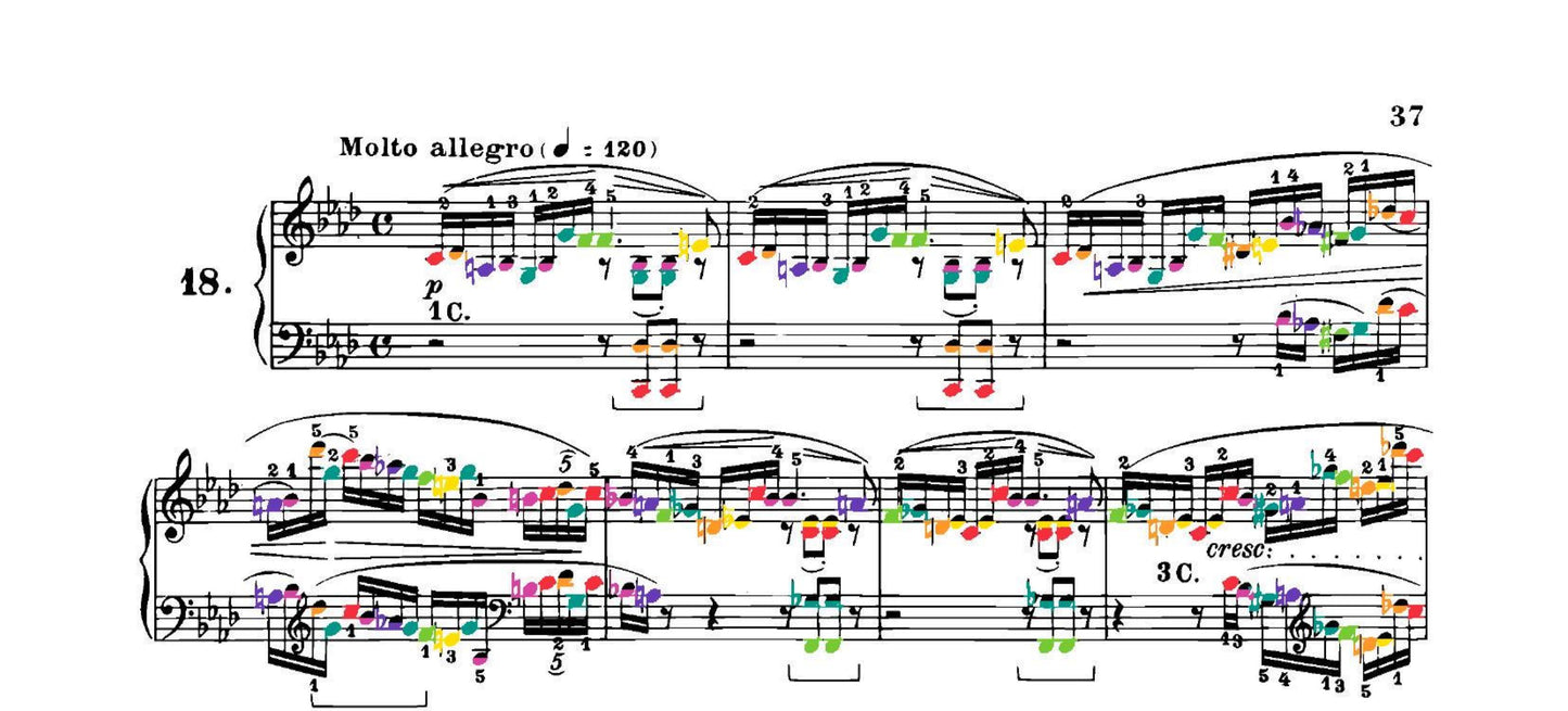 Chopin Collection