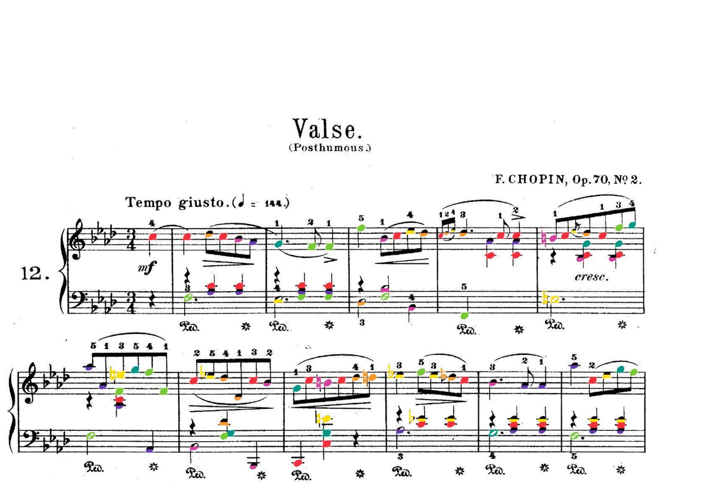 Chopin Collection