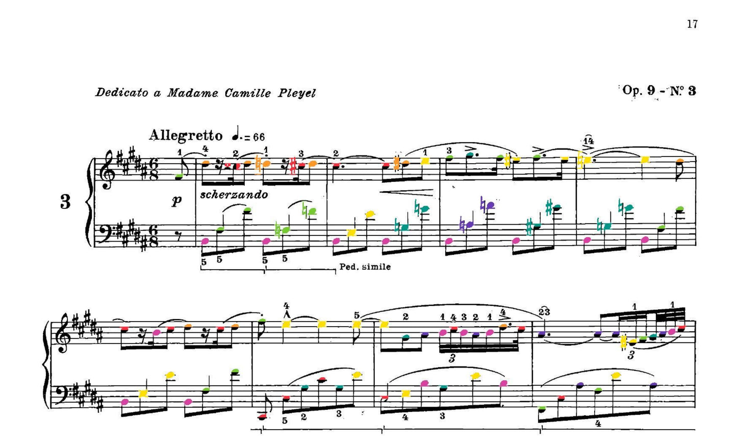 Chopin Collection
