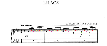 Rachmaninoff Collection
