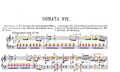 Mozart Collection