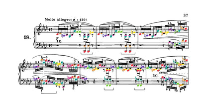 Chopin Collection