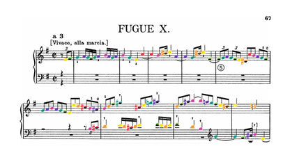 Bach Collection