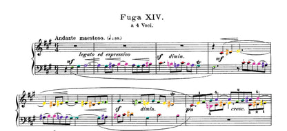 Bach Collection