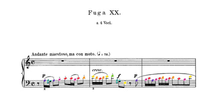 Bach Collection